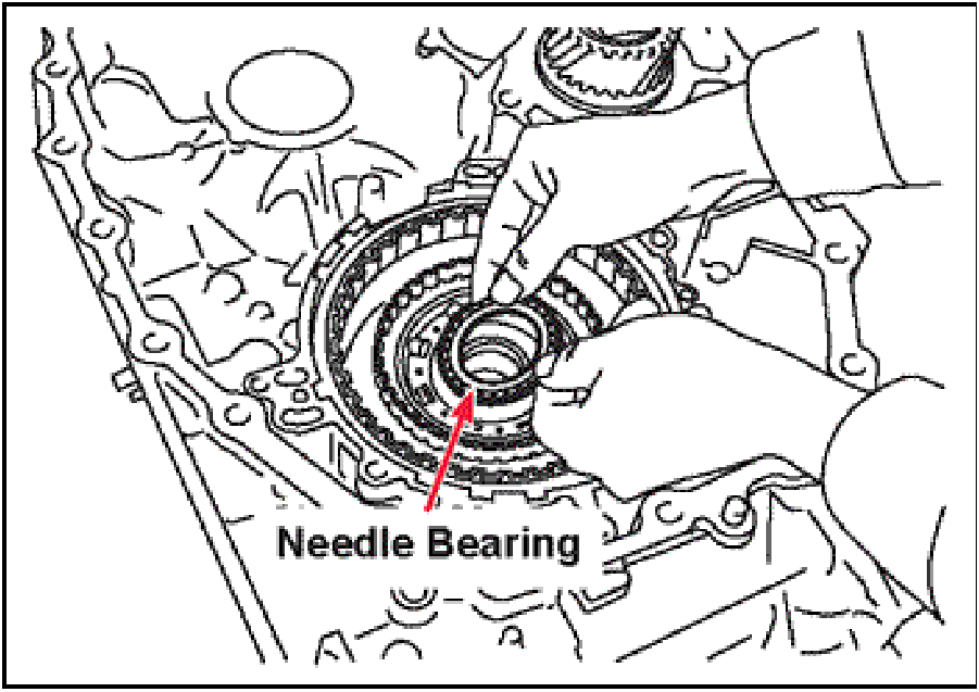 520065657_graphic-text219